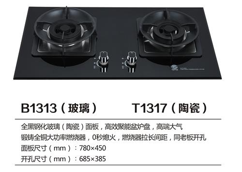 B1313.jpg