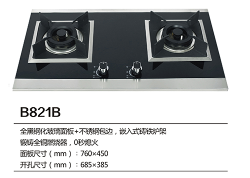 B821B.jpg