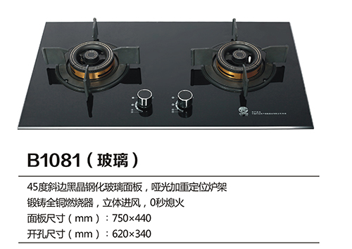 B1081.jpg
