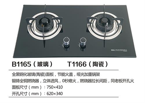 B1165.jpg