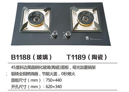 B1188.jpg