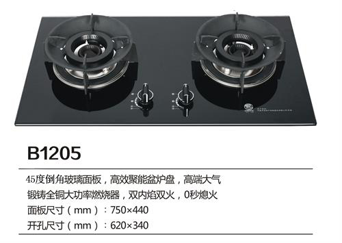 B1205.jpg