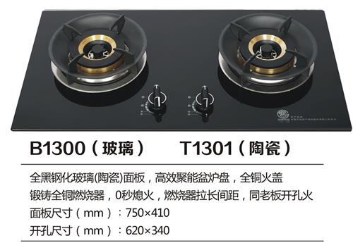 B1300.jpg