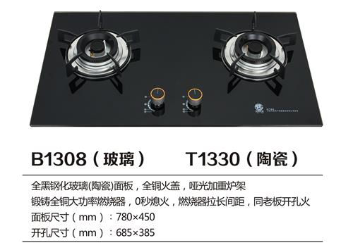 B1308.jpg