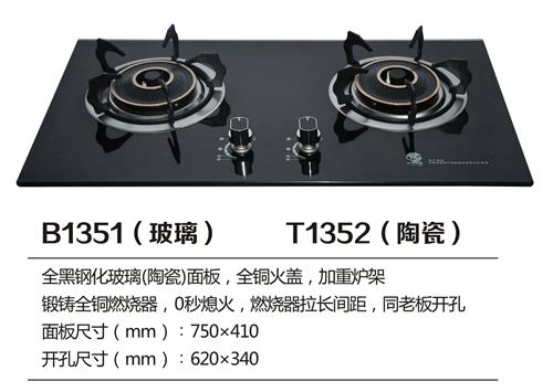 B1351.jpg