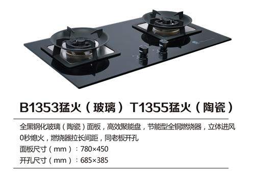 B1353.jpg