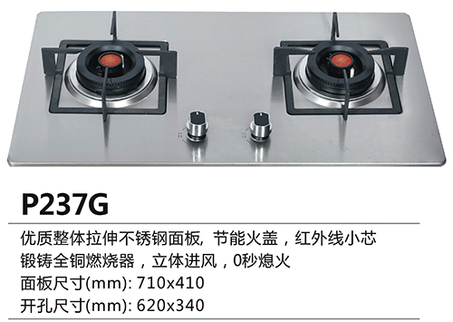 P237G.jpg