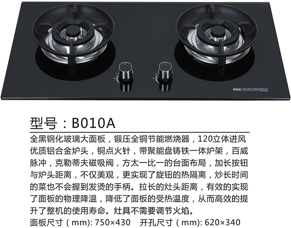 B010A.jpg