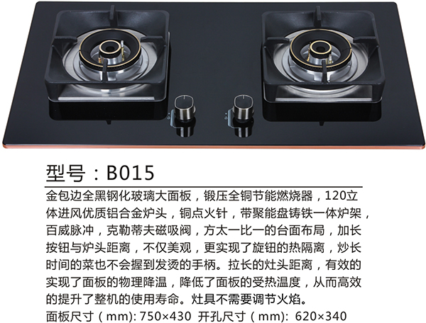 B015.jpg